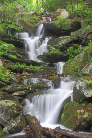 Briggs Brook Waterfall New England National Scenic Trail