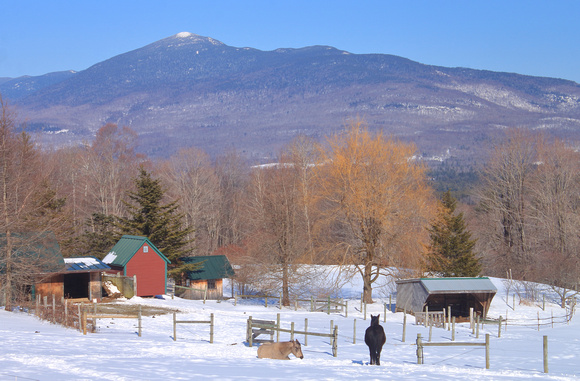 Lincoln Farm and Mount Abraham