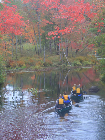 Paddlers and Red Maple Foliage vert