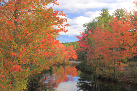 Tully River Red Maple Fall Foliage