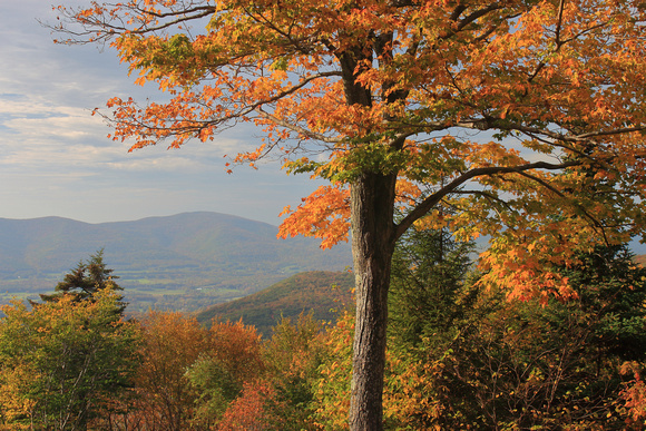 Mount Greylock Fall Foliage