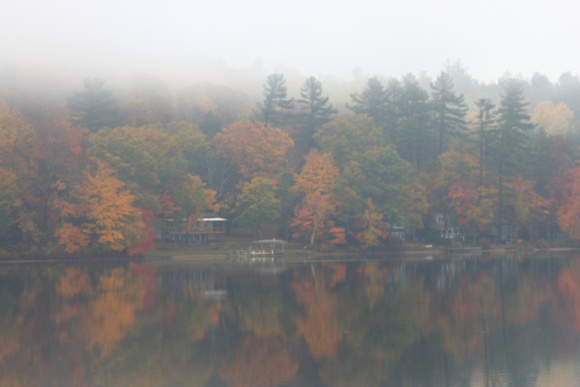 Lake Wyola Autumn Fog