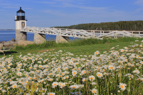 Marshall Point Lighthouse and Daisies