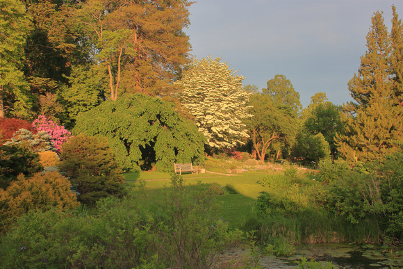 Smith College Botanical Garden Evening Light