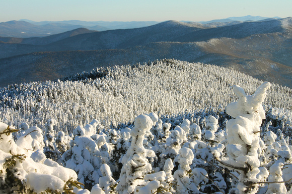 Mount Abraham Forest in Winter