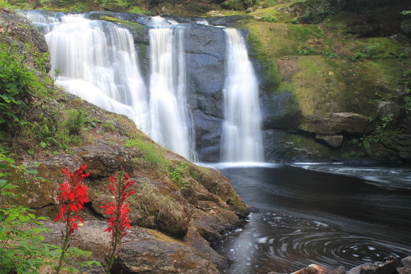 Doanes Falls Cardinal Flower and Pool