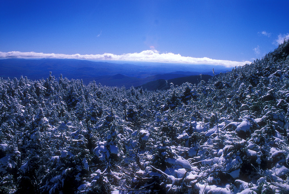 Mount Mansfield Snow at Treeline