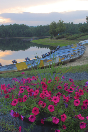 Quabbin Reservoir Fishing Boats Petunias