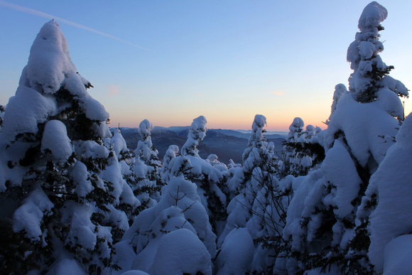 Green Mountain Spruce Forest Winter Twilight