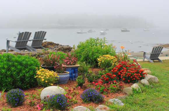 Boothbay Ocean Point Flowers and Fog