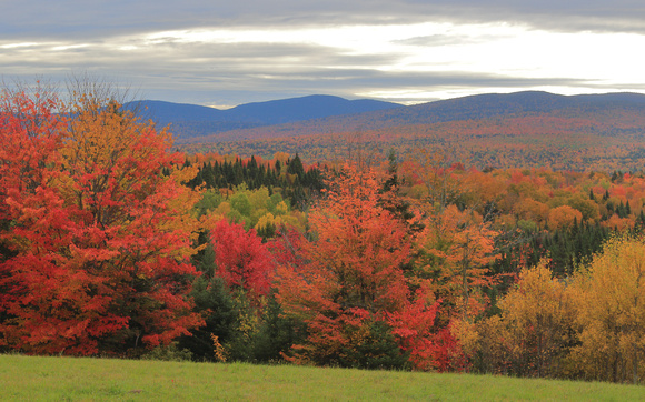 Connecticut Lakes Fall Foliage Peak