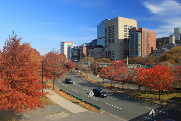 Boston Storrow Drive Fall Foliage