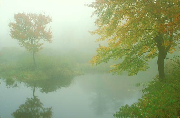 Autumn Fog Otter Millers Rivers Birch Hill