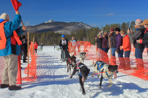 Chocorua Lake Sled Dog Race Finish Line