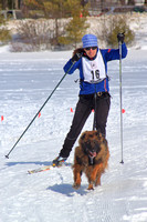 Chocorua Lake Sled Dog Race Skijor