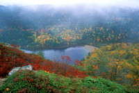 Acadia National Park Beech Cliffs Autumn Fog
