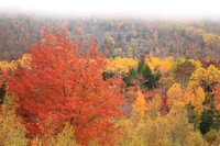 Acadia National Park Fall Foliage