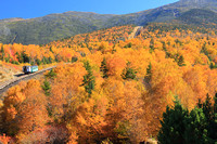 Mount Washington Cog Railroad Peak Fall Foliage
