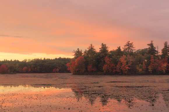 Harvard Pond Autumn Sunset
