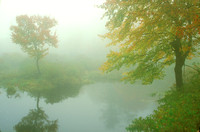 Autumn Fog Otter and Millers Rivers Birch Hill