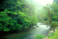 Little River Smoky Mountains