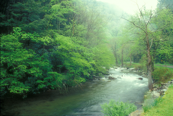 Little River Smoky Mountains