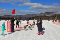 Chocorua Lake Sled Dog Race Finish Line 4577