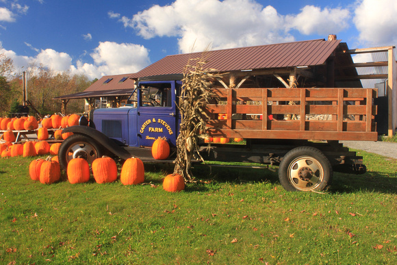 Carter Stevens Farm Pumpkins and Truck