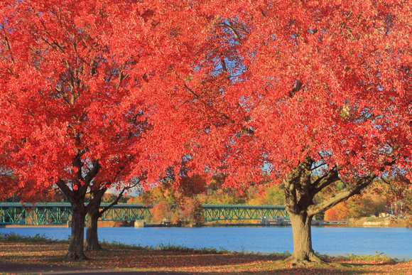 Turners Falls Connecticut River Unity Park Fall Foliage