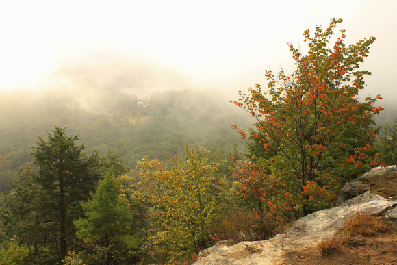 Tully Mountain Early Autumn Fog