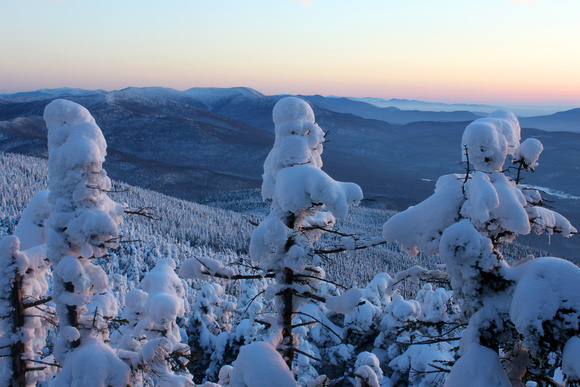 Mount Abraham Treeline Winter Twilight