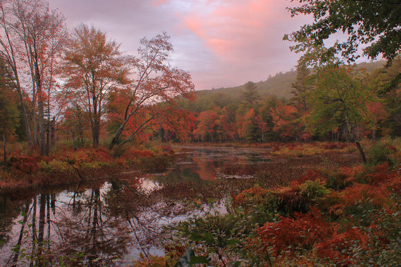 Tully River Long Pond Autumn Sunset