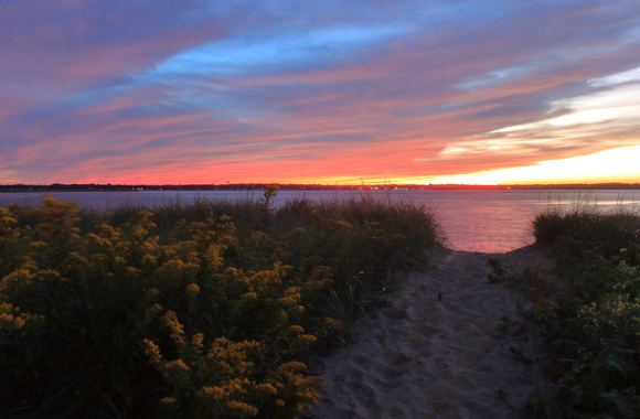 Plum Island Beach Sunset Goldenrod