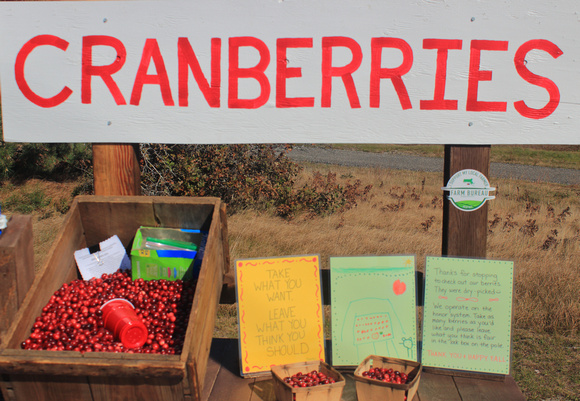 Cranberry farmstand