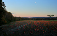 Pumpkins and Moon Nourse Farms Connecticut River