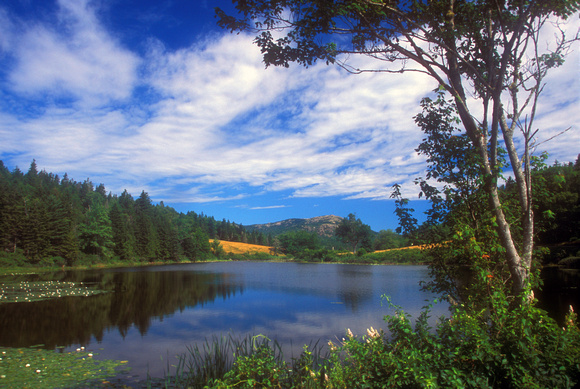 Acadia National Park Long Pond