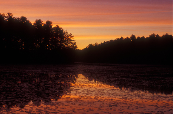 Lake Rohunta Sunset