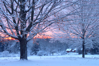 North Common Meadow Winter Sunrise