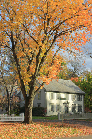 Historic Deerfield Fall Foliage