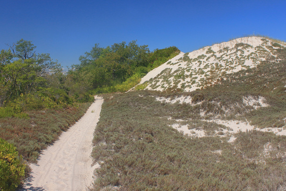 Crane Beach hiking trail and dune