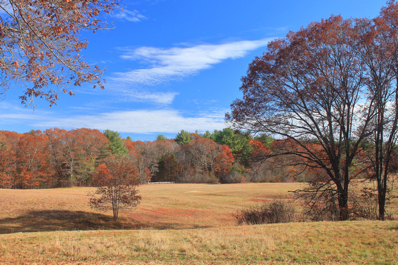 Bradley Palmer State Park Meadow in Autumn