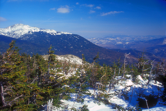 Mount Washington Treeline in Winter