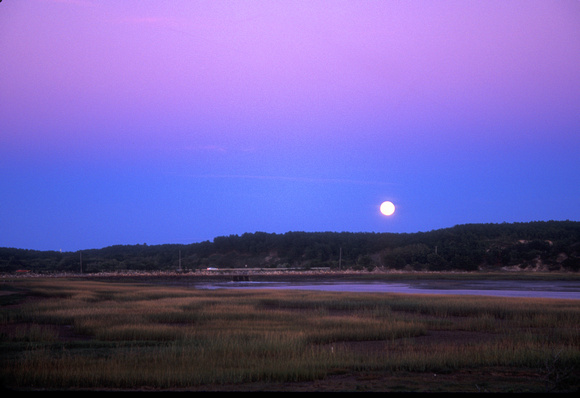 Great Island Moonrise