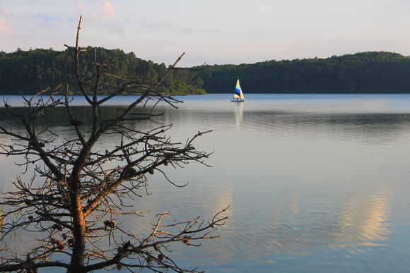 Nickerson State Park Cliff Pond Sailboat