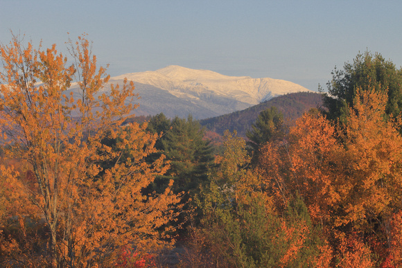 Mount Washington Valley Snow Foliage