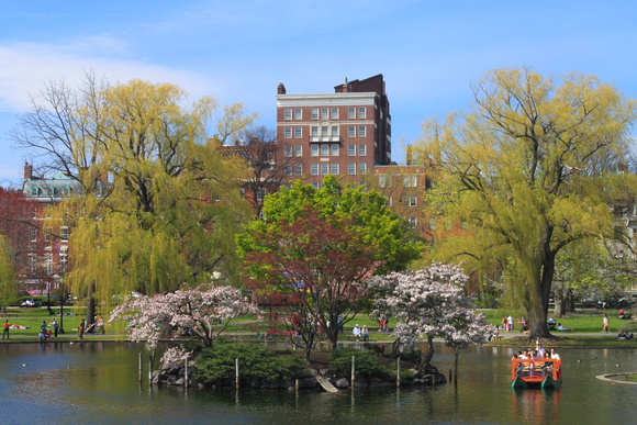 Boston Common Public Garden Pond in Spring