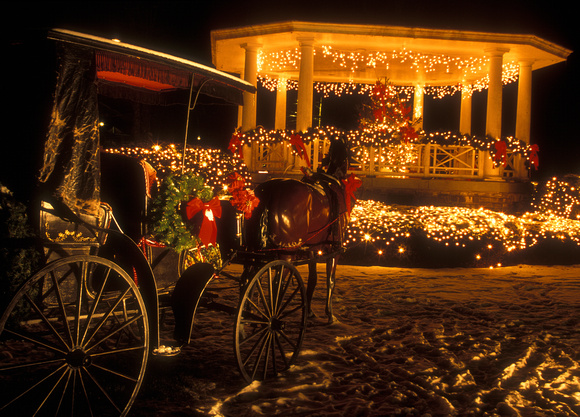 Barre Common Holiday Lights horse carriage