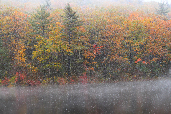 Leominster State Forest Snow Squall and Foliage