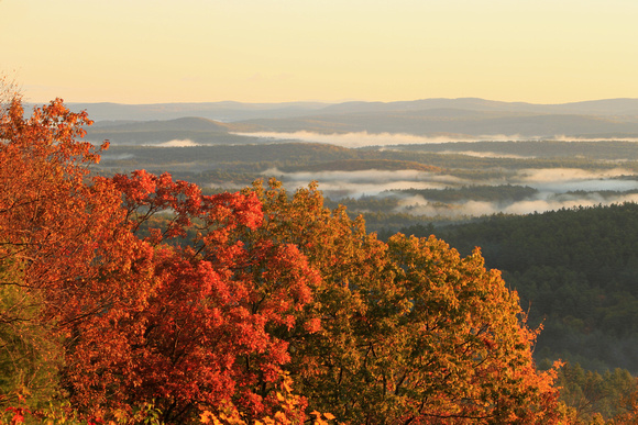 Swift River Valley Foliage and Fog