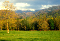 Cades Cove in morning light
